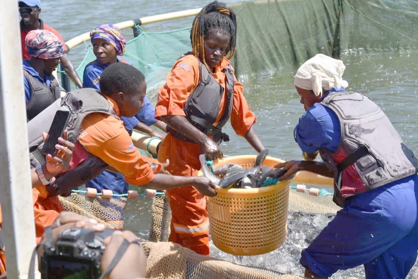 Read more about the article Fishing for Equality: Recognizing the vital role women play in African small-scale fisheries