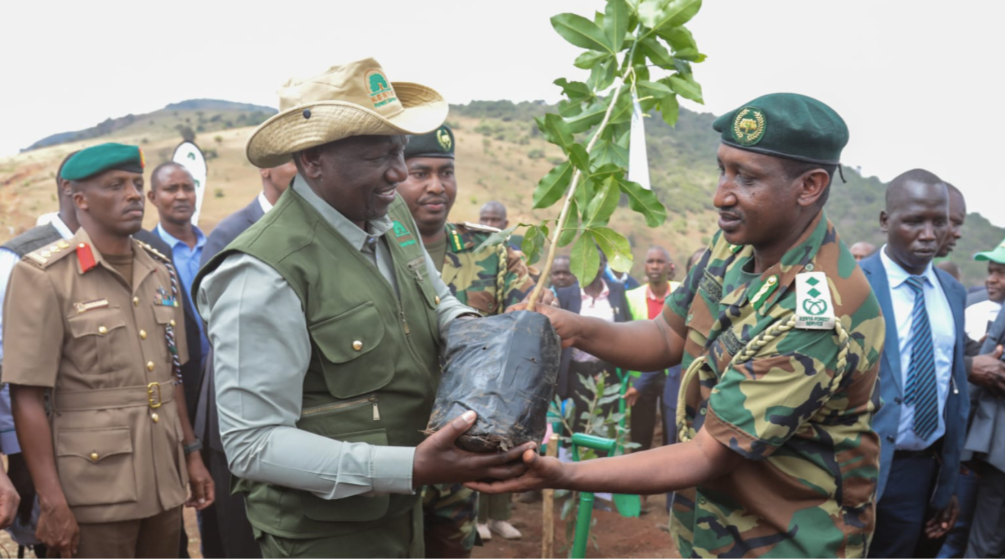 Read more about the article Beyond Symbolism: Kenya’s Multi-Faceted Tree Planting Strategy